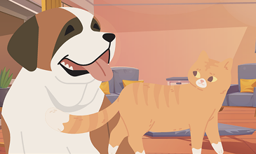 Amigos del aire, no del pelo